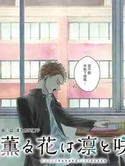 青柠音乐季 综艺 2025
